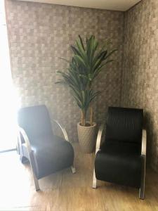 a waiting room with a chair and a plant at Hotel Barão in São Paulo