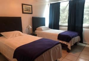 My Suite Ejecutiva客房内的一张或多张床位