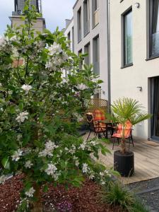 ogród z białymi kwiatami na drewnianym tarasie w obiekcie Townhouse Apartment Potsdam w Poczdamie