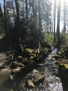 Príroda v okolí penziónu