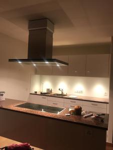 a kitchen with a sink and a stove top oven at Ferienwohnung mit Garten und Pool in Ascona in Ascona