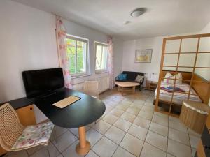 TV a/nebo společenská místnost v ubytování Apartmenthaus Home24