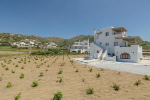 um campo de plantas na areia em frente a uma casa em Orkos Naxian Wave em Mikri Vigla