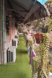 an outside building with green grass and an umbrella at Green Hill Hostel & Tour in Ha Giang