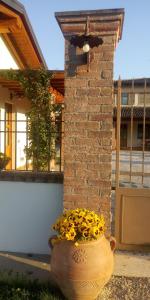 a vase filled with yellow flowers next to a building at Corte di Tosina in Monzambano