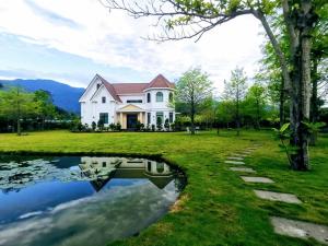 Táj Show homestays közelében