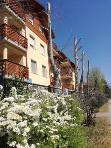 a building with white flowers in front of it at Plázs Apartman Balatonlelle in Balatonlelle +4 photos