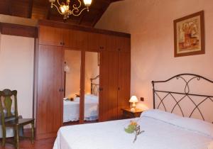 イコー・デ・ロス・ビノスにあるCasa Rural La Furniaのベッドルーム(ベッド1台、鏡付)