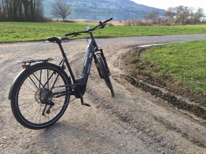 Attività di ciclismo presso l'hotel o nelle vicinanze