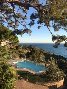 a swimming pool with the ocean in the background at Agriturismo Uliveto Saglietto in Imperia
