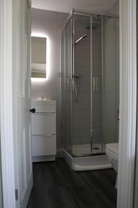 a bathroom with a shower and a toilet and a sink at The Five Pilchards Inn in Helston