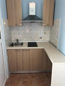 a kitchen with a sink and a counter top at Apartman Ana in Umag