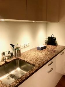 Una cocina o zona de cocina en Ferienwohnung mit Garten und Pool in Ascona
