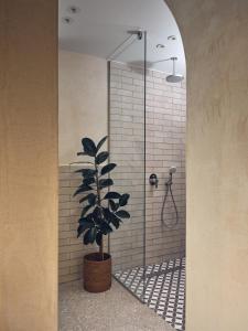 a bathroom with a shower with a plant in it at Casa di Pierro in Lithakia