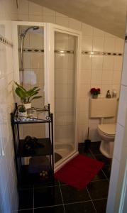 a bathroom with a shower and a toilet at The Studio Guesthouse in Volendam