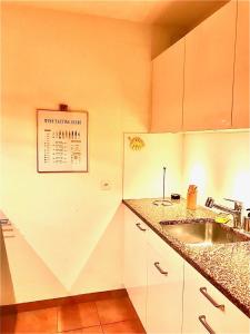 Una cocina o zona de cocina en Ferienwohnung mit Garten und Pool in Ascona