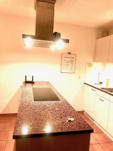 Una cocina o zona de cocina en Ferienwohnung mit Garten und Pool in Ascona