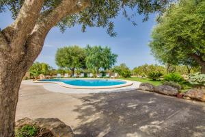 una piscina en un patio con un árbol en Ideal Property Mallorca - Vernissa, en Santa Margalida