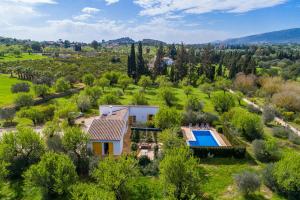 Príroda v okolí of the country house
