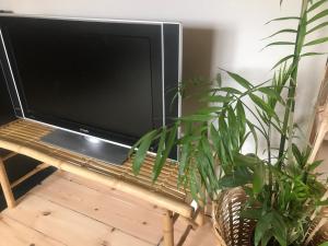 Televiisor ja/või meelelahutuskeskus majutusasutuses Botanikerns hus