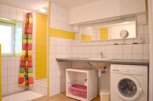 ein Badezimmer mit einem Waschbecken und einer Waschmaschine in der Unterkunft La petite maison in Grancey-le-Château