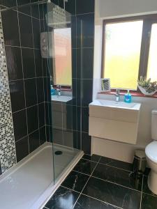 uma casa de banho com um chuveiro, um lavatório e um WC. em Flat 18 em Dumfries