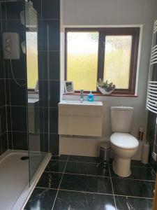 a bathroom with a toilet and a sink and a shower at Flat 18 in Dumfries