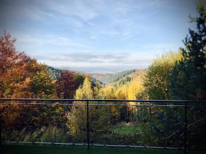 een balkon met uitzicht op een bos bij ZRUB BINDT in Hnilčík