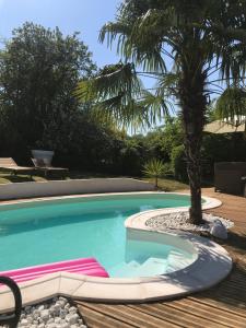 a swimming pool with a palm tree in the middle at Chambres d'Hôtes des Demoiselles in Ville-Saint-Jacques