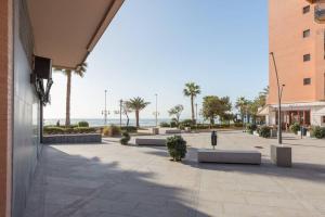 pusta ulica z palmami i oceanem w obiekcie TGH Málaga we love the sea w Maladze