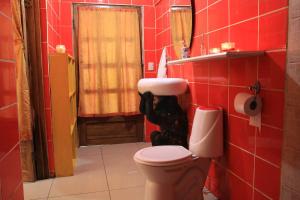 Koupelna v ubytování Madre Selva Hostel + 37 fotografií
