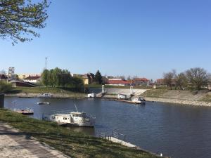 un grupo de barcos atracados en un río en Főtér Panzió en Baja