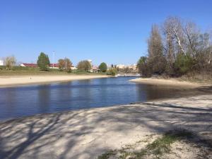 widok na rzekę z plażą i drzewami w obiekcie Főtér Panzió w mieście Baja