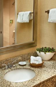 eine Badezimmertheke mit einem Waschbecken und einem Spiegel in der Unterkunft Coast Gateway Hotel in SeaTac