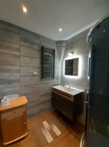 a bathroom with a sink and a mirror and a shower at Willa Anna in Kościelisko