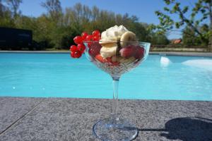 a glass bowl of ice cream and fruit next to a pool at 't Gorsje in Goedereede