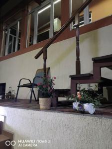 Cozy central apartment in Cluj Napoca في كلوي نابوكا: شرفة منزل مع كرسي والنباتات