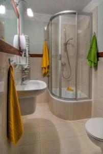 a bathroom with a shower and a sink at Villa Baltic - Apartament Chałupy nr 6 in Chałupy