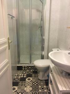 La salle de bains est pourvue d'une douche, de toilettes et d'un lavabo. dans l'établissement Les petits boudoirs beau site, à Aix-les-Bains