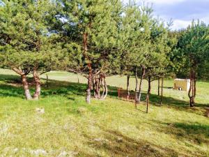 Gallery image of WUDINO - Ubytování v přírodě, se zvířaty v industriálním duchu, in Ostrov u Macochy +7 photos