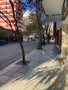 een stoep met bomen aan de straatkant bij Estudio Mar in Mar del Plata