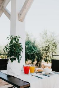 uma mesa com dois copos de sumo de laranja e uma planta em L'Ulivo Bianco em Montenero di Bisaccia
