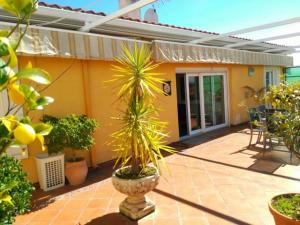 un patio con macetas en una casa en Apartamentos Mérida Center, en Mérida