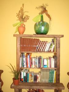 The library in Az apartmant