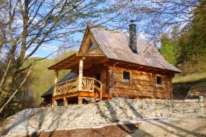 a log cabin with a roof on top of a hill at Krolowo Apartment in Tylmanowa