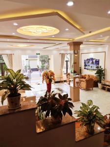 Fotografie z fotogalerie ubytování Hoàng Gia Hotel Côn Đảo v destinaci Con Dao