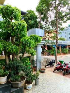 Zahrada ubytování Hoàng Gia Hotel Côn Đảo
