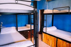 2 literas en una habitación con paredes azules en Vietnam Backpacker Hostels - Hue en Hue