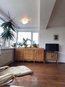 Pokój z drewnianą komodą i telewizorem w obiekcie Apartamentai Palangos centre w Połądze