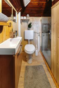 a bathroom with a toilet and a sink and a shower at Chalet Tisa Velika Planina in Stahovica